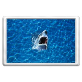Магнит 45*70 с принтом Пасть акулы в Санкт-Петербурге, Пластик | Размер: 78*52 мм; Размер печати: 70*45 | акула | атака | белая | брызги | вода | волны | зубы | капли | море | океан | опасность | синяя | челюсти | эффект