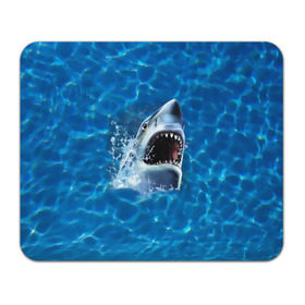 Коврик прямоугольный с принтом Пасть акулы в Санкт-Петербурге, натуральный каучук | размер 230 х 185 мм; запечатка лицевой стороны | акула | атака | белая | брызги | вода | волны | зубы | капли | море | океан | опасность | синяя | челюсти | эффект