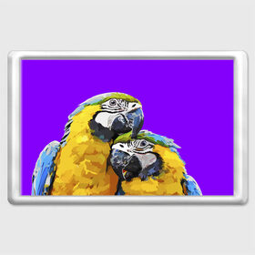 Магнит 45*70 с принтом Попугайчики в Санкт-Петербурге, Пластик | Размер: 78*52 мм; Размер печати: 70*45 | bird | животные | попугайчики | птицы | текстуры