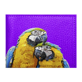 Обложка для студенческого билета с принтом Попугайчики в Санкт-Петербурге, натуральная кожа | Размер: 11*8 см; Печать на всей внешней стороне | bird | животные | попугайчики | птицы | текстуры