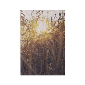 Обложка для паспорта матовая кожа с принтом Солнце во ржи в Санкт-Петербурге, натуральная матовая кожа | размер 19,3 х 13,7 см; прозрачные пластиковые крепления | восход | закат | лучи | поле | природа | растения | рож | солнце | тепло