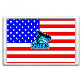 Магнит 45*70 с принтом Sharks USA в Санкт-Петербурге, Пластик | Размер: 78*52 мм; Размер печати: 70*45 | sharks | usa | акула | америка | американец | символика америки | сша