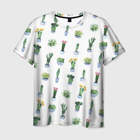 Мужская футболка 3D с принтом Кактусы в Санкт-Петербурге, 100% полиэфир | прямой крой, круглый вырез горловины, длина до линии бедер | Тематика изображения на принте: горшок | зеленый | кактус | принт | растение | флора | цветы