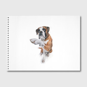 Альбом для рисования с принтом Боксер в Санкт-Петербурге, 100% бумага
 | матовая бумага, плотность 200 мг. | Тематика изображения на принте: боксер | друг | дружба | животное | пес | собака