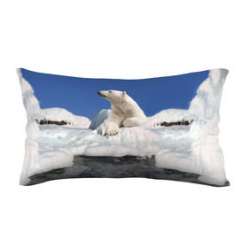 Подушка 3D антистресс с принтом Арктика в Санкт-Петербурге, наволочка — 100% полиэстер, наполнитель — вспененный полистирол | состоит из подушки и наволочки на молнии | animals | bear | ice | nature | polar bear | power | travel | белый медведь | животные | лёд | медведь | природа | путешествия | сила | снег