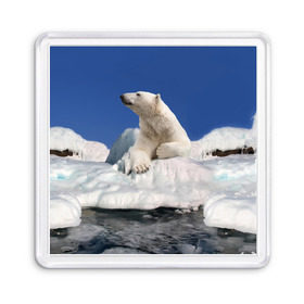 Магнит 55*55 с принтом Арктика в Санкт-Петербурге, Пластик | Размер: 65*65 мм; Размер печати: 55*55 мм | Тематика изображения на принте: animals | bear | ice | nature | polar bear | power | travel | белый медведь | животные | лёд | медведь | природа | путешествия | сила | снег