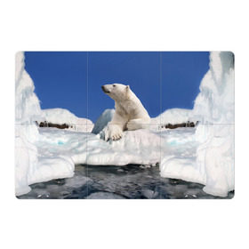 Магнитный плакат 3Х2 с принтом Арктика в Санкт-Петербурге, Полимерный материал с магнитным слоем | 6 деталей размером 9*9 см | animals | bear | ice | nature | polar bear | power | travel | белый медведь | животные | лёд | медведь | природа | путешествия | сила | снег