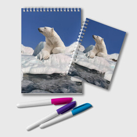 Блокнот с принтом Арктика в Санкт-Петербурге, 100% бумага | 48 листов, плотность листов — 60 г/м2, плотность картонной обложки — 250 г/м2. Листы скреплены удобной пружинной спиралью. Цвет линий — светло-серый
 | animals | bear | ice | nature | polar bear | power | travel | белый медведь | животные | лёд | медведь | природа | путешествия | сила | снег