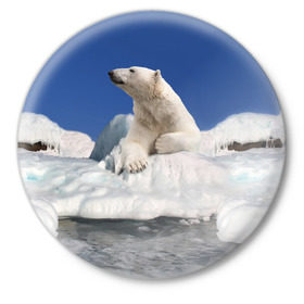 Значок с принтом Арктика в Санкт-Петербурге,  металл | круглая форма, металлическая застежка в виде булавки | animals | bear | ice | nature | polar bear | power | travel | белый медведь | животные | лёд | медведь | природа | путешествия | сила | снег
