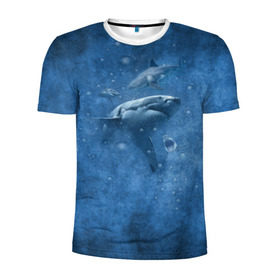 Мужская футболка 3D спортивная с принтом Shark в Санкт-Петербурге, 100% полиэстер с улучшенными характеристиками | приталенный силуэт, круглая горловина, широкие плечи, сужается к линии бедра | fish | ocean | акула | вода | животные | море | океан | рыба | челюсти
