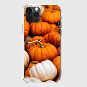 Чехол для iPhone 12 Pro Max с принтом тыквы в Санкт-Петербурге, Силикон |  | halloween | дача | овощи | октябрь | оранжевый | осень | сентябрь | тыква | хеллуин