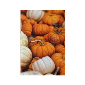 Обложка для паспорта матовая кожа с принтом тыквы в Санкт-Петербурге, натуральная матовая кожа | размер 19,3 х 13,7 см; прозрачные пластиковые крепления | Тематика изображения на принте: halloween | дача | овощи | октябрь | оранжевый | осень | сентябрь | тыква | хеллуин
