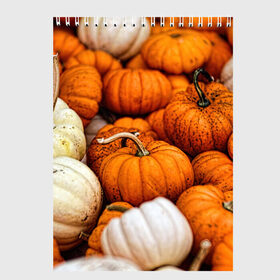 Скетчбук с принтом тыквы в Санкт-Петербурге, 100% бумага
 | 48 листов, плотность листов — 100 г/м2, плотность картонной обложки — 250 г/м2. Листы скреплены сверху удобной пружинной спиралью | halloween | дача | овощи | октябрь | оранжевый | осень | сентябрь | тыква | хеллуин