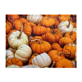 Обложка для студенческого билета с принтом тыквы в Санкт-Петербурге, натуральная кожа | Размер: 11*8 см; Печать на всей внешней стороне | Тематика изображения на принте: halloween | дача | овощи | октябрь | оранжевый | осень | сентябрь | тыква | хеллуин