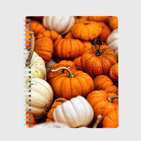 Тетрадь с принтом тыквы в Санкт-Петербурге, 100% бумага | 48 листов, плотность листов — 60 г/м2, плотность картонной обложки — 250 г/м2. Листы скреплены сбоку удобной пружинной спиралью. Уголки страниц и обложки скругленные. Цвет линий — светло-серый
 | halloween | дача | овощи | октябрь | оранжевый | осень | сентябрь | тыква | хеллуин