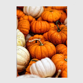 Постер с принтом тыквы в Санкт-Петербурге, 100% бумага
 | бумага, плотность 150 мг. Матовая, но за счет высокого коэффициента гладкости имеет небольшой блеск и дает на свету блики, но в отличии от глянцевой бумаги не покрыта лаком | halloween | дача | овощи | октябрь | оранжевый | осень | сентябрь | тыква | хеллуин