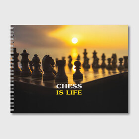 Альбом для рисования с принтом Шахматы - это жизнь в Санкт-Петербурге, 100% бумага
 | матовая бумага, плотность 200 мг. | chess | game | sport | гроссмейстер | закат | игра | интеллект | солнце | спорт | фигура | шахматист | шахматы