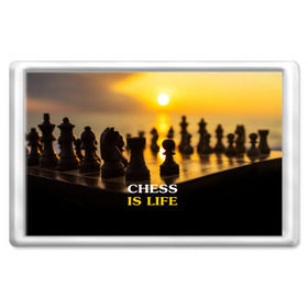 Магнит 45*70 с принтом Шахматы - это жизнь в Санкт-Петербурге, Пластик | Размер: 78*52 мм; Размер печати: 70*45 | chess | game | sport | гроссмейстер | закат | игра | интеллект | солнце | спорт | фигура | шахматист | шахматы