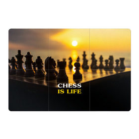 Магнитный плакат 3Х2 с принтом Шахматы - это жизнь в Санкт-Петербурге, Полимерный материал с магнитным слоем | 6 деталей размером 9*9 см | chess | game | sport | гроссмейстер | закат | игра | интеллект | солнце | спорт | фигура | шахматист | шахматы