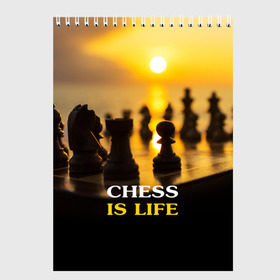 Скетчбук с принтом Шахматы - это жизнь в Санкт-Петербурге, 100% бумага
 | 48 листов, плотность листов — 100 г/м2, плотность картонной обложки — 250 г/м2. Листы скреплены сверху удобной пружинной спиралью | Тематика изображения на принте: chess | game | sport | гроссмейстер | закат | игра | интеллект | солнце | спорт | фигура | шахматист | шахматы