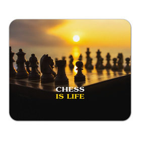 Коврик прямоугольный с принтом Шахматы - это жизнь в Санкт-Петербурге, натуральный каучук | размер 230 х 185 мм; запечатка лицевой стороны | Тематика изображения на принте: chess | game | sport | гроссмейстер | закат | игра | интеллект | солнце | спорт | фигура | шахматист | шахматы