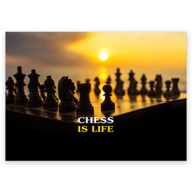 Поздравительная открытка с принтом Шахматы - это жизнь в Санкт-Петербурге, 100% бумага | плотность бумаги 280 г/м2, матовая, на обратной стороне линовка и место для марки
 | chess | game | sport | гроссмейстер | закат | игра | интеллект | солнце | спорт | фигура | шахматист | шахматы