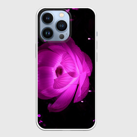 Чехол для iPhone 13 Pro с принтом ЦВЕТОК | FLOWER | 8 МАРТА в Санкт-Петербурге,  |  | Тематика изображения на принте: лепестки | модные | природа | растения | розовый | тренды | фон | цвет | цветок | цветы | черный