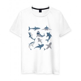 Мужская футболка хлопок с принтом Акулы в Санкт-Петербурге, 100% хлопок | прямой крой, круглый вырез горловины, длина до линии бедер, слегка спущенное плечо. | акула | зубы | океан | челюсть