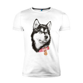Мужская футболка премиум с принтом Маламут в Санкт-Петербурге, 92% хлопок, 8% лайкра | приталенный силуэт, круглый вырез ворота, длина до линии бедра, короткий рукав | аляска | карандаш | маламут | рисунок | собака | хаски