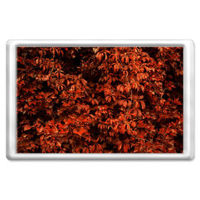 Магнит 45*70 с принтом осенние листья в Санкт-Петербурге, Пластик | Размер: 78*52 мм; Размер печати: 70*45 | 