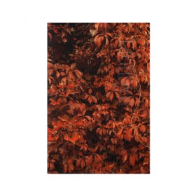 Обложка для паспорта матовая кожа с принтом осенние листья в Санкт-Петербурге, натуральная матовая кожа | размер 19,3 х 13,7 см; прозрачные пластиковые крепления | 