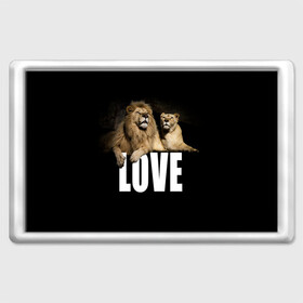 Магнит 45*70 с принтом LOVE в Санкт-Петербурге, Пластик | Размер: 78*52 мм; Размер печати: 70*45 | Тематика изображения на принте: влюблённые | дикая кошка | животные | лев | львица | любовь | пара | природа | свадьба