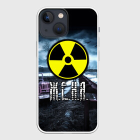 Чехол для iPhone 13 mini с принтом S.T.A.L.K.E.R.   Ж.Е.Н.Я. в Санкт-Петербурге,  |  | stalker | волки | грузовик | евгения | жека евгений | женек | женечка | женя | мрак | припять | птицы | радиация | сталкер | чернобыль