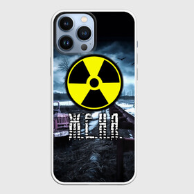 Чехол для iPhone 13 Pro Max с принтом S.T.A.L.K.E.R.   Ж.Е.Н.Я. в Санкт-Петербурге,  |  | stalker | волки | грузовик | евгения | жека евгений | женек | женечка | женя | мрак | припять | птицы | радиация | сталкер | чернобыль