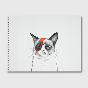 Альбом для рисования с принтом Grumpy cat (David Bowie) в Санкт-Петербурге, 100% бумага
 | матовая бумага, плотность 200 мг. | Тематика изображения на принте: бодиарт | грумпи | дэвид боуи | злой кот | интернет | котей | котик | кошка | мем | мемас | мемчик. | молния на лице | рисунок на лице | сердитый