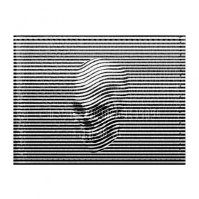 Обложка для студенческого билета с принтом Череп в Санкт-Петербурге, натуральная кожа | Размер: 11*8 см; Печать на всей внешней стороне | art | optical | skull | stripes | vest | искусство | оптическое | полосы | тельняшка | череп