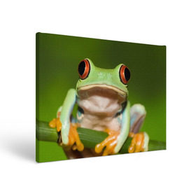 Холст прямоугольный с принтом Лягушка в Санкт-Петербурге, 100% ПВХ |  | Тематика изображения на принте: frog | жаба | животные | зеленый | ква | лягуха | лягушка | лягушонок