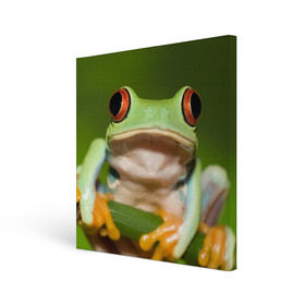 Холст квадратный с принтом Лягушка в Санкт-Петербурге, 100% ПВХ |  | Тематика изображения на принте: frog | жаба | животные | зеленый | ква | лягуха | лягушка | лягушонок