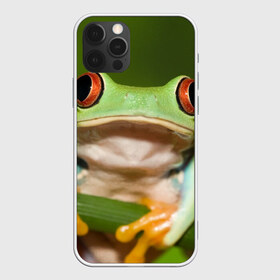 Чехол для iPhone 12 Pro Max с принтом Лягушка в Санкт-Петербурге, Силикон |  | frog | жаба | животные | зеленый | ква | лягуха | лягушка | лягушонок