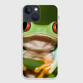 Чехол для iPhone 13 mini с принтом Лягушка в Санкт-Петербурге,  |  | frog | жаба | животные | зеленый | ква | лягуха | лягушка | лягушонок