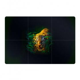 Магнитный плакат 3Х2 с принтом Тигр в джунглях в Санкт-Петербурге, Полимерный материал с магнитным слоем | 6 деталей размером 9*9 см | Тематика изображения на принте: 