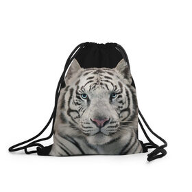 Рюкзак-мешок 3D с принтом White tiger в Санкт-Петербурге, 100% полиэстер | плотность ткани — 200 г/м2, размер — 35 х 45 см; лямки — толстые шнурки, застежка на шнуровке, без карманов и подкладки | tiger white | белый тигр | дикая кошка | тигр