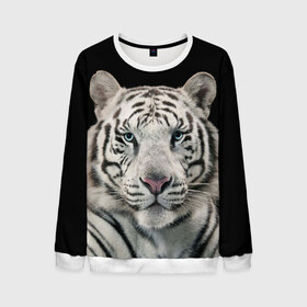 Мужской свитшот 3D с принтом White tiger в Санкт-Петербурге, 100% полиэстер с мягким внутренним слоем | круглый вырез горловины, мягкая резинка на манжетах и поясе, свободная посадка по фигуре | tiger white | белый тигр | дикая кошка | тигр