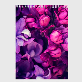 Скетчбук с принтом цветы в Санкт-Петербурге, 100% бумага
 | 48 листов, плотность листов — 100 г/м2, плотность картонной обложки — 250 г/м2. Листы скреплены сверху удобной пружинной спиралью | botany | bouquet | flowers | fuchsia | leaves | magnolia | peony | pink | vintage | ботаника | букет | винтаж | листья | магнолия | пион | розовый | фуксия | цветы
