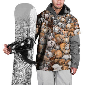 Накидка на куртку 3D с принтом Щенки в Санкт-Петербурге, 100% полиэстер |  | Тематика изображения на принте: бультерьер | корги | мопс | паттерн | пес | питбуль | породы | собака | собачка | хаски | щенок