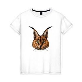 Женская футболка хлопок с принтом Каракал (рысь) в Санкт-Петербурге, 100% хлопок | прямой крой, круглый вырез горловины, длина до линии бедер, слегка спущенное плечо | животные | каракал | киса | кот | котенок | котик | кошка | рысь | хищник