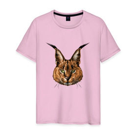 Мужская футболка хлопок с принтом Каракал (рысь) в Санкт-Петербурге, 100% хлопок | прямой крой, круглый вырез горловины, длина до линии бедер, слегка спущенное плечо. | животные | каракал | киса | кот | котенок | котик | кошка | рысь | хищник