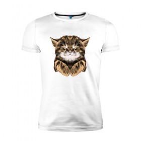 Мужская футболка премиум с принтом Котёнок в Санкт-Петербурге, 92% хлопок, 8% лайкра | приталенный силуэт, круглый вырез ворота, длина до линии бедра, короткий рукав | cat | животные | киса | кот | котенок | котик | кошка | сон | спит