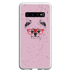 Чехол для Samsung Galaxy S10 с принтом Немецкий шпиц в очках в Санкт-Петербурге, Силикон | Область печати: задняя сторона чехла, без боковых панелей | Тематика изображения на принте: домашние животные | пес | собака