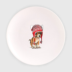 Тарелка с принтом Чихуахуа в шапочке в Санкт-Петербурге, фарфор | диаметр - 210 мм
диаметр для нанесения принта - 120 мм | домашние животные | пес | песик | собака | собачка | чихуахуа